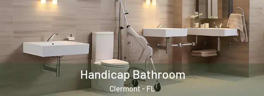 Handicap Bathroom Clermont - FL